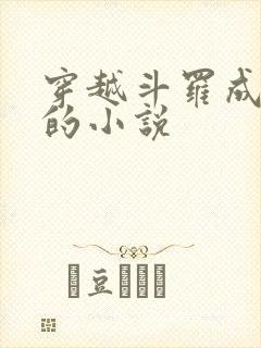 穿越斗罗成魂兽的小说