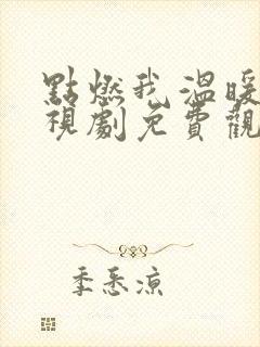 点燃我温暖你电视剧免费观看不卡封面