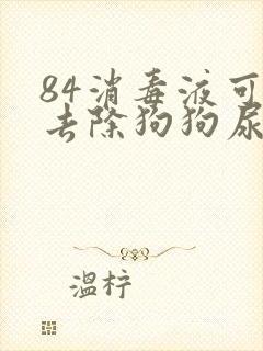 84消毒液可以去除狗狗尿骚味吗