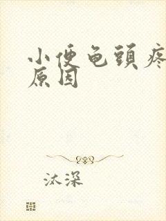 小便龟头疼什么原因封面