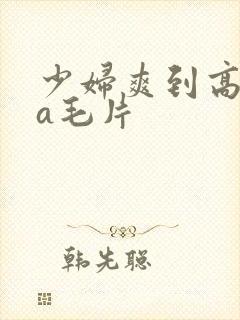 少妇爽到高潮的a毛片