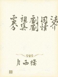 电视剧因法之名分集剧情介绍