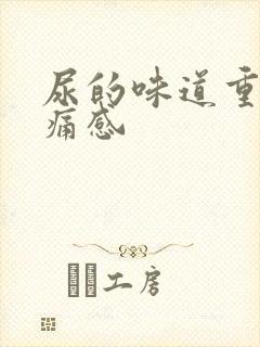 尿的味道重有刺痛感