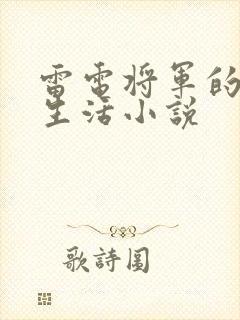 雷电将军的俘虏生活小说