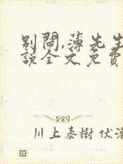 别闹,薄先生小说全文免费阅读txt