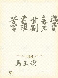 苦尽甘来遇见你电视剧免费观看全集