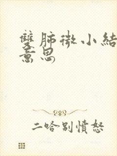 双肺微小结节啥意思