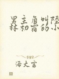 男主角叫陆怀瑾林初霜的小说