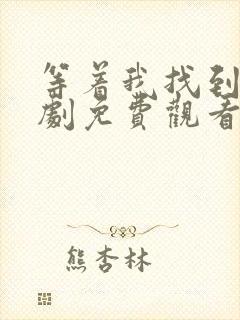 等着我找到我短剧免费观看