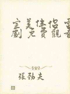 完美伴侣 电视剧 免费观看封面