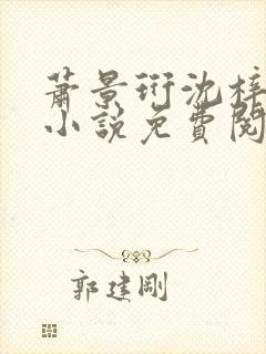 萧景珩沈梓雨的小说免费阅读全文