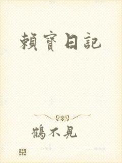 赖宝日记封面