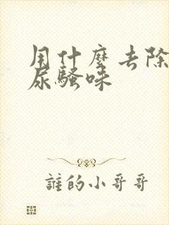 用什么去除狗的尿骚味