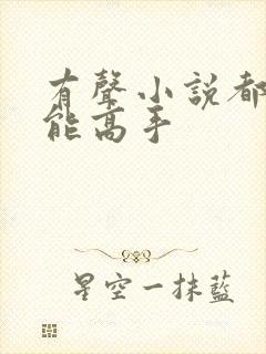 有声小说都市全能高手