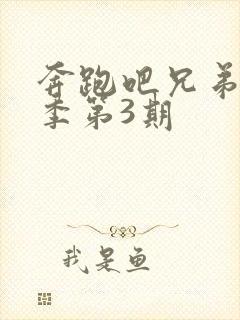 奔跑吧兄弟第五季第3期封面