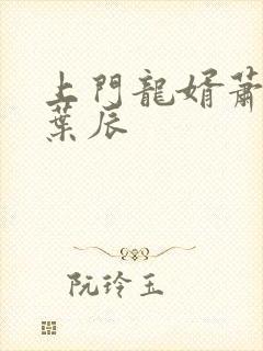 上门龙婿萧初然叶辰