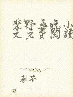 裴野桑晚小说全文免费阅读最新章节