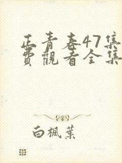 正青春47集免费观看全集