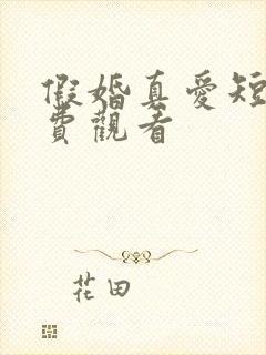 假婚真爱短剧免费观看