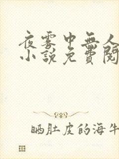 夜雾中无人爱我小说免费阅读封面