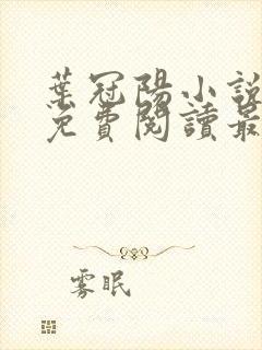 叶冠阳小说全文免费阅读最新章节