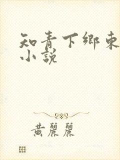 知青下乡东北的小说