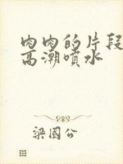 肉肉的片段po高潮喷水