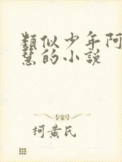 类似少年阿宾钰慧的小说