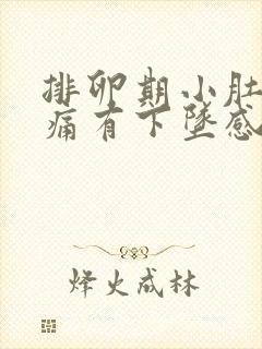 排卵期小肚子疼痛有下坠感怎么办封面