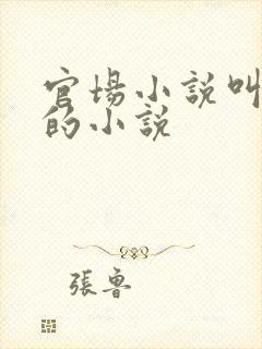 官场小说叫李霖的小说封面