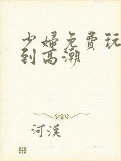 少妇免费玩弄我到高潮