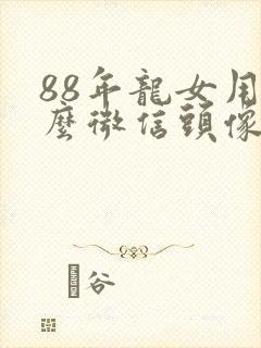 88年龙女用什么微信头像好