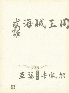 求海贼王同人小说