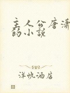 主人公唐潇王东的小说