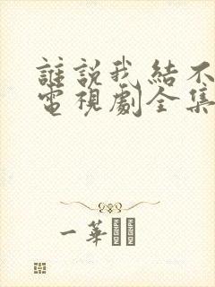 谁说我结不了婚电视剧全集免费观看封面