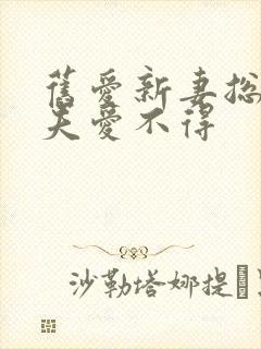 旧爱新妻总裁前夫爱不得