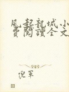 风起龙城小说免费阅读全文
