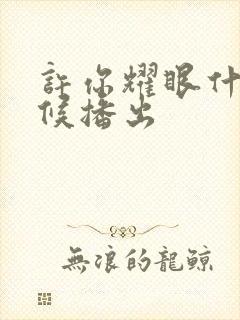 许你耀眼什么时候播出