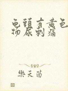 龟头有黄色分泌物尿刺痛封面