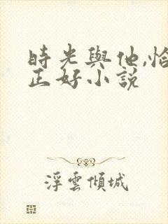 时光与他,恰是正好小说