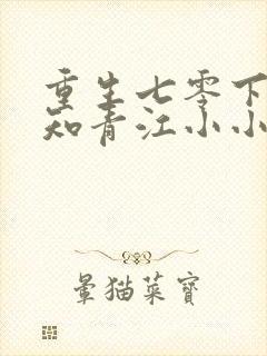 重生七零下乡做知青江小小全文免费阅读