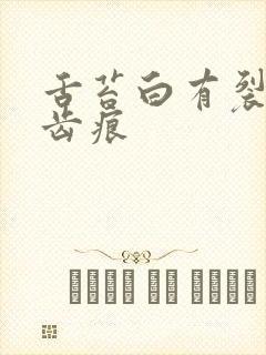 舌苔白有裂纹有齿痕