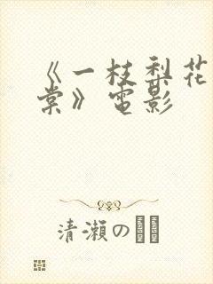 《一枝梨花压海棠》电影