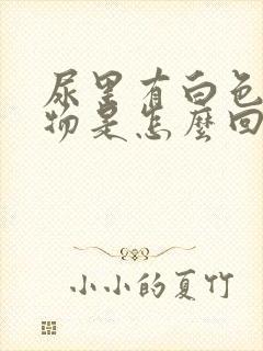 尿里有白色絮状物是怎么回事男性