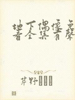 地下偶像免费观看全集有声