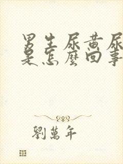 男生尿黄尿刺痛是怎么回事封面