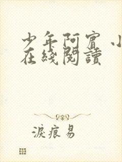 少年阿宾 小说在线阅读