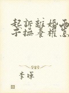 起诉离婚两个孩子抚养权怎么判封面