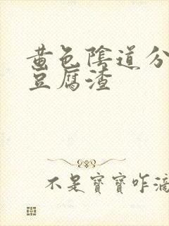 黄色阴道分泌物豆腐渣封面