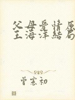 父母爱情原著中王海洋结局封面